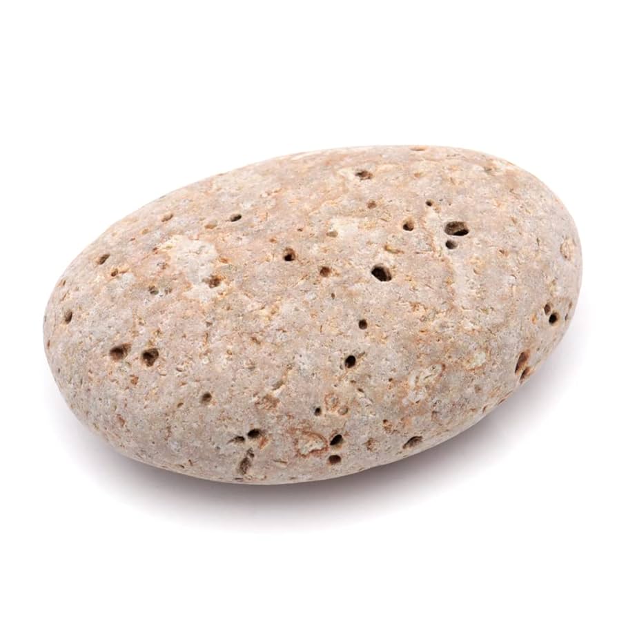 【中古】 バルザック伝/白水社/アンリ・トロアイヤ Zildjian USED 中古 A Zildjian EARTH RIDE 20 [3250g] ｜イケベ